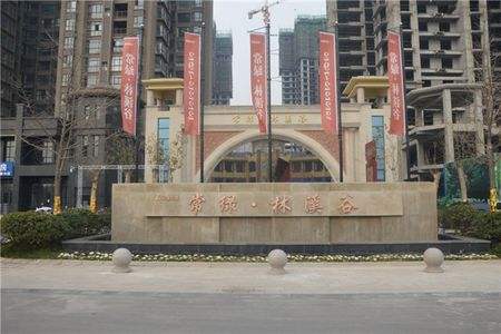 南阳常绿·林溪谷户型装修设计效果图